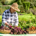 The Key Differences Between Organic and Conventional Agriculture