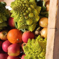 Transform Your Meals With The Bloom Bounty Produce Box From The Organic Farm