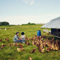 The Truth About Organic Farming: Debunking the Risk Stereotype