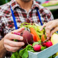 The Truth About Organic Food: Separating Fact from Fiction