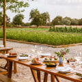 The Best Farm To Table Experiences Near Los Angeles Promoting Organic Practices