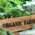 Innovative Organic Farming Examples From Leading Organic Farm