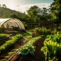 The Power of Organic Farming: A Sustainable Perspective