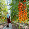 The Benefits of Organic Farming: An Expert's Perspective