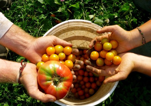 The Profit Potential of Organic Farming: An Expert's Perspective