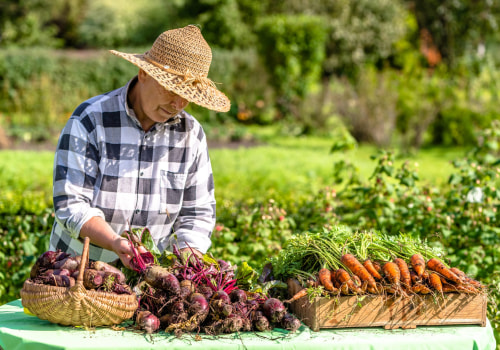 The Key Differences Between Organic and Conventional Agriculture