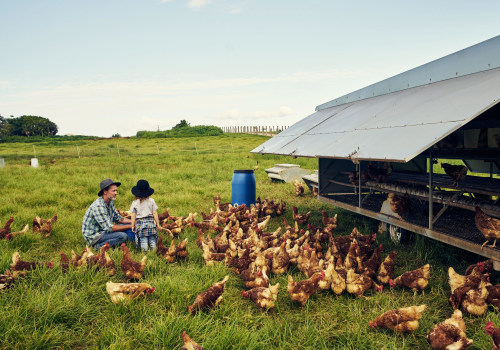 The Truth About Organic Farming: Debunking the Risk Stereotype