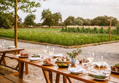 The Best Farm To Table Experiences Near Los Angeles Promoting Organic Practices