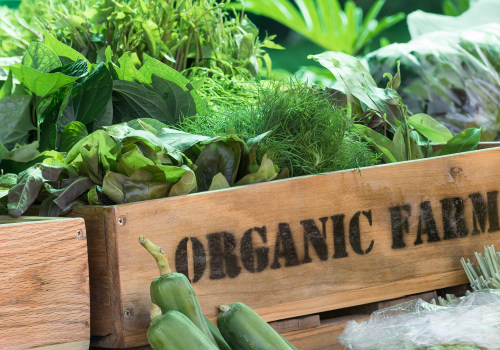 Innovative Organic Farming Examples From Leading Organic Farm