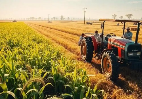 What Is the Difference Between Commercial and Subsistence Farming? The Role of Organic Farms in Modern Agriculture