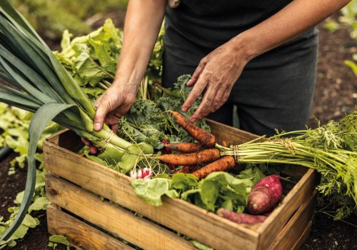 The Truth About Organic Farming: Separating Fact from Fiction