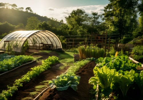 The Power of Organic Farming: A Sustainable Perspective